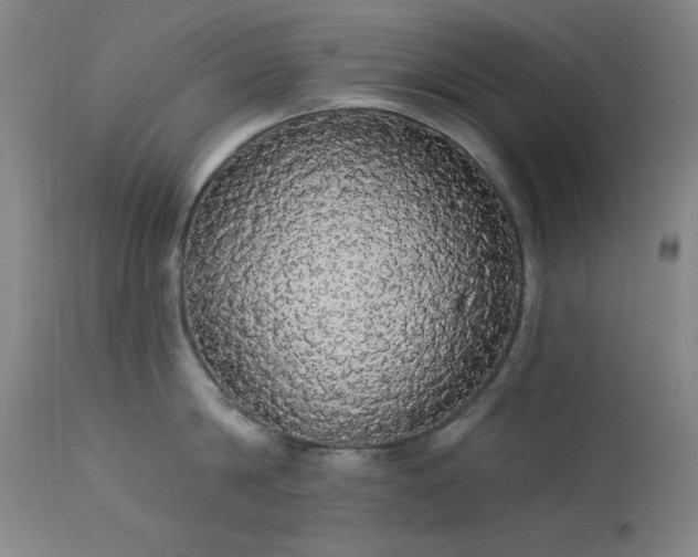 X0000113980814200910021135