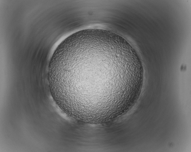 X0000113980816200910021135