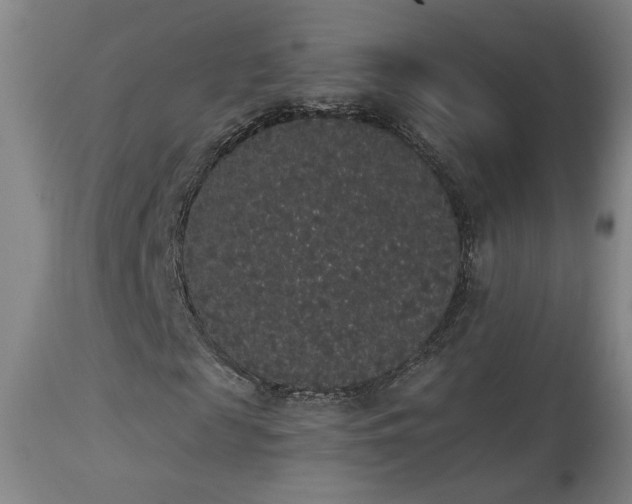 X0000113980817200910021134