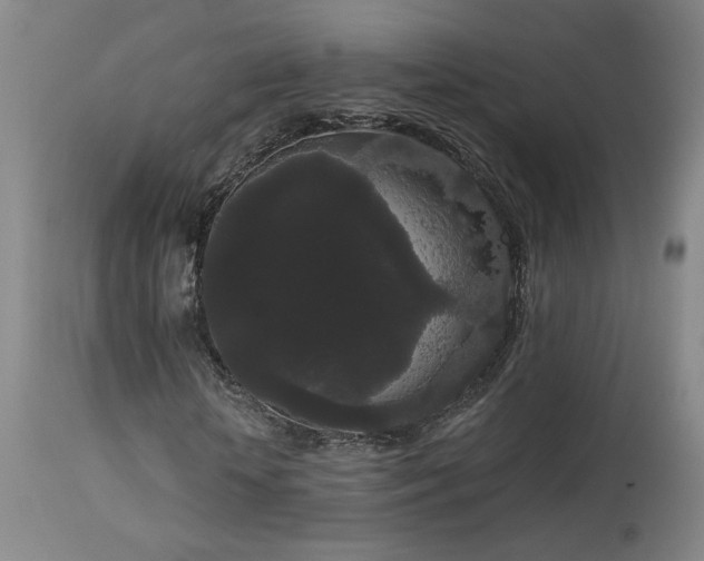 X0000113980818200910021134