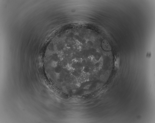 X0000113980819200910021134