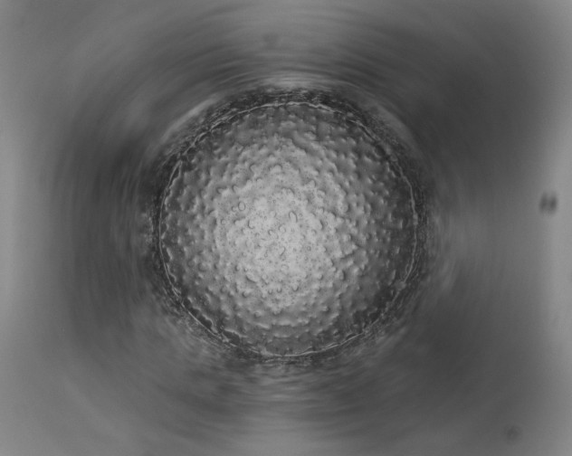 X0000113980821200910021134