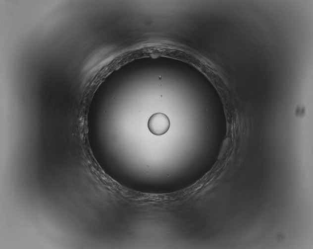 X0000113980822200910021134