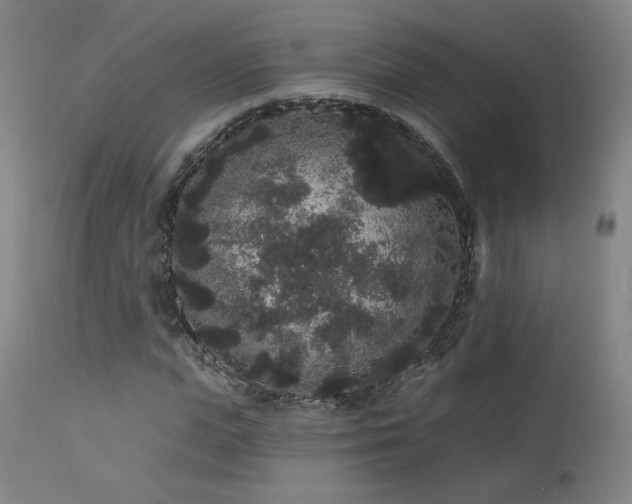 X0000113980823200910021134