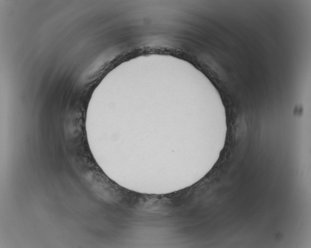X0000113980824200910021134