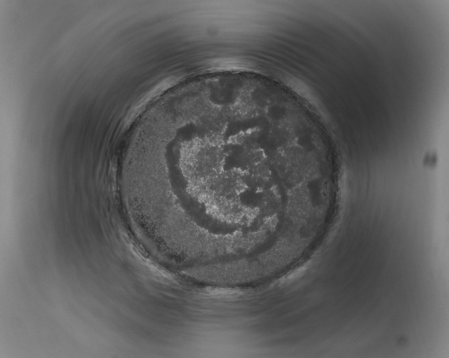 X0000113980825200910021134