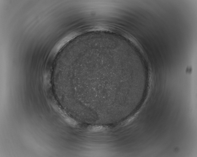 X0000113980826200910021134