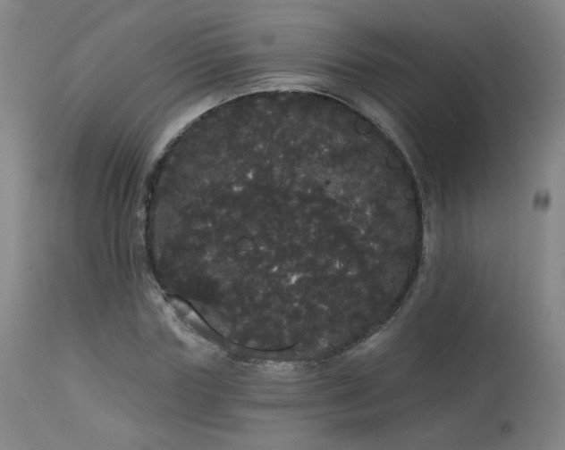 X0000113980827200910021134