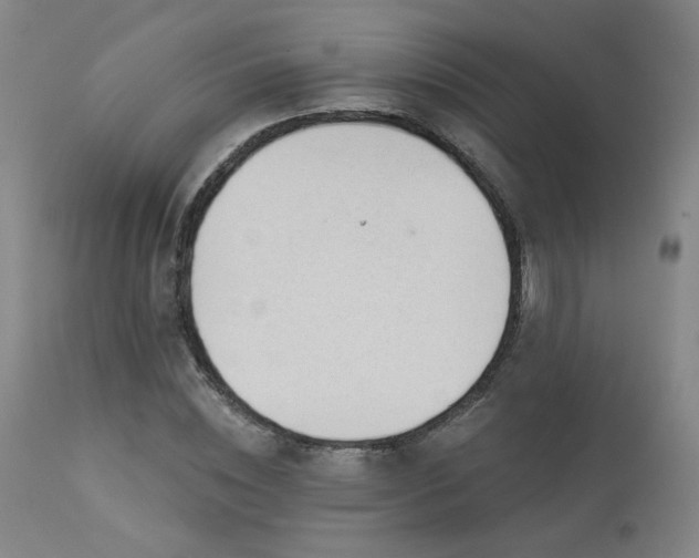 X0000113980828200910021134