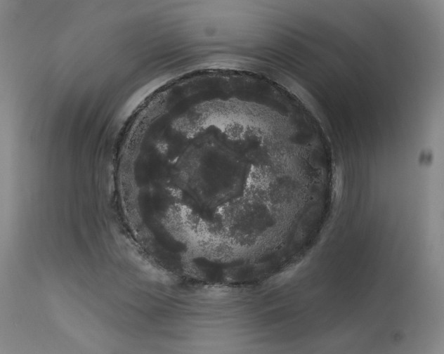 X0000113980829200910021134