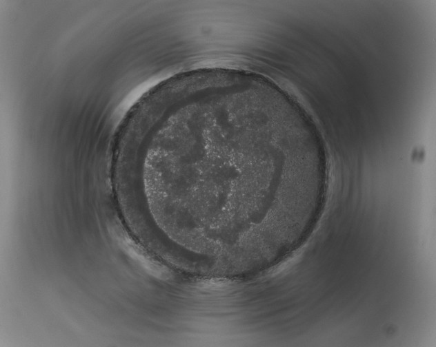 X0000113980830200910021134