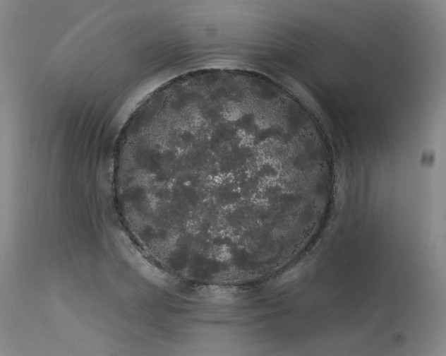 X0000113980831200910021134