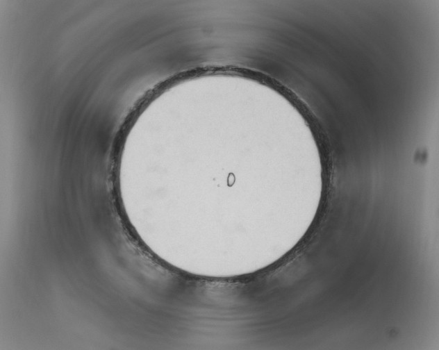 X0000113980832200910021134