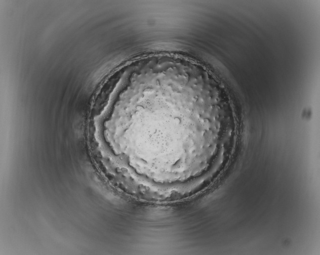 X0000113980833200910021134