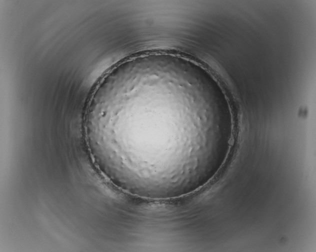 X0000113980834200910021134