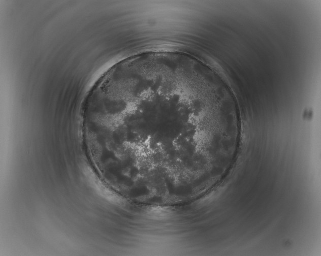 X0000113980835200910021134