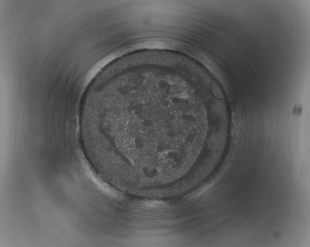 X0000113980837200910021135