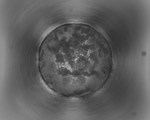 X0000113980839200910021135