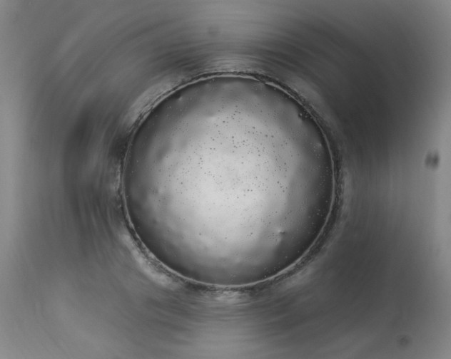 X0000113980841200910021135