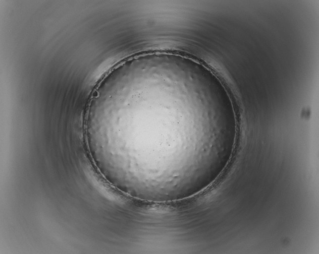 X0000113980842200910021135