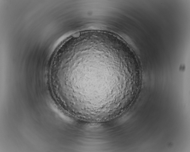 X0000113980846200910021135