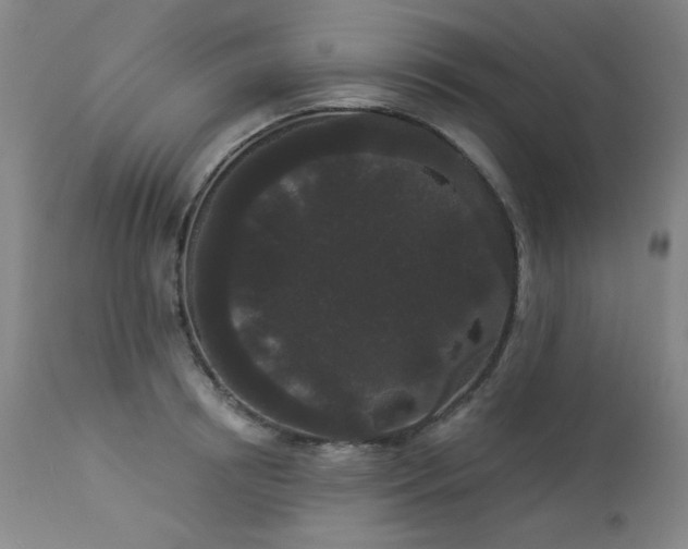 X0000113980850200910021135