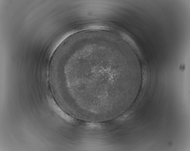 X0000113980852200910021135