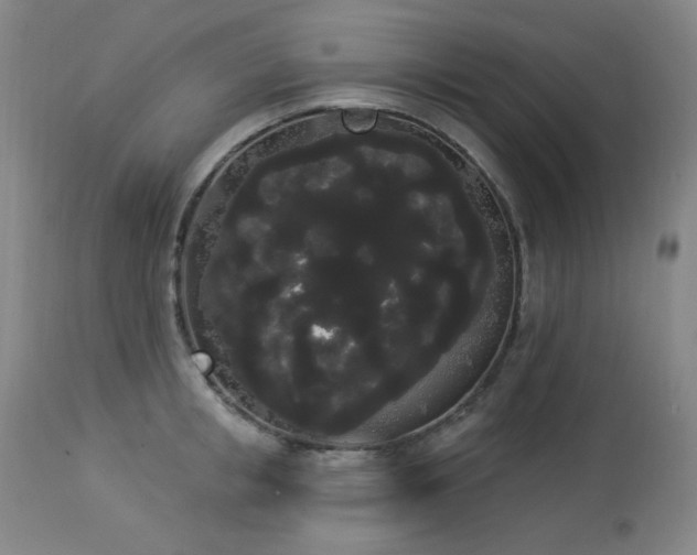 X0000113980853200910021135