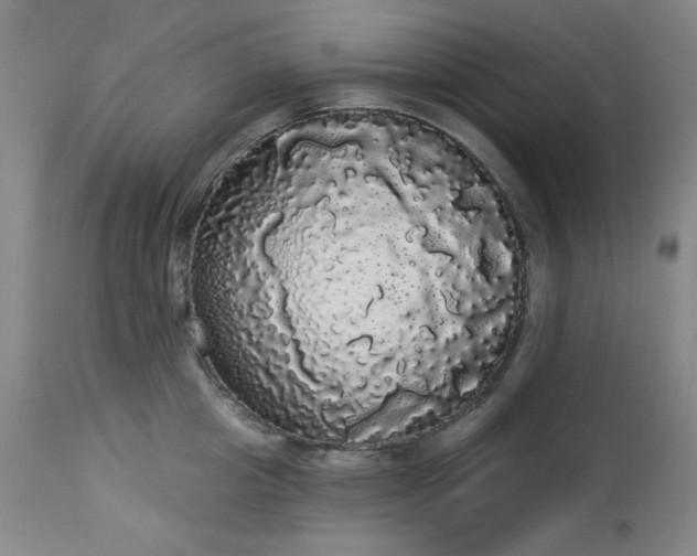 X0000113980857200910021135