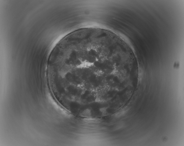 X0000113980863200910021135