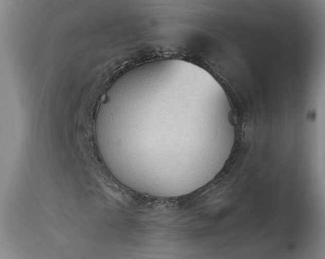 X0000113980865200910021134