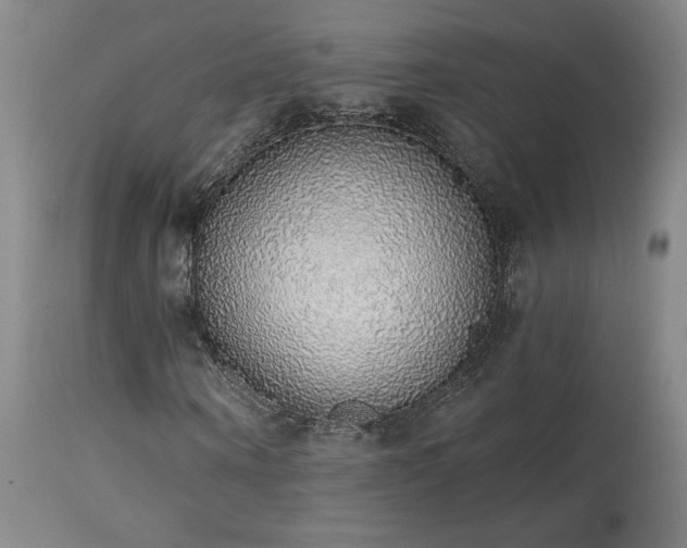 X0000113980866200910021134