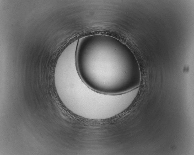 X0000113980868200910021134