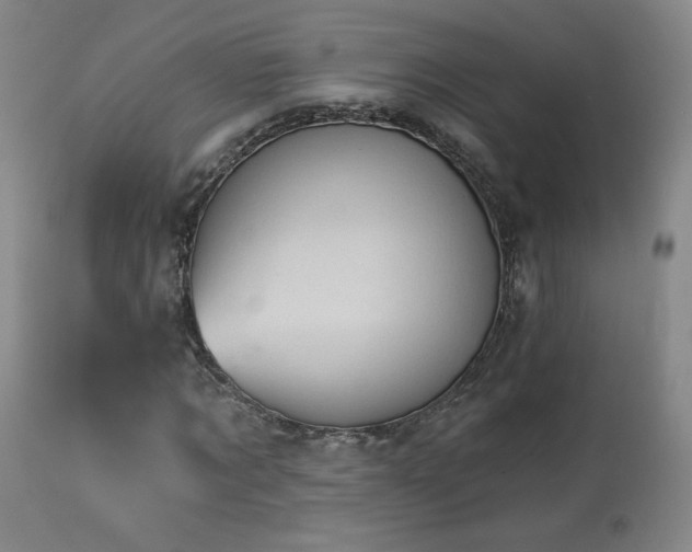 X0000113980869200910021134