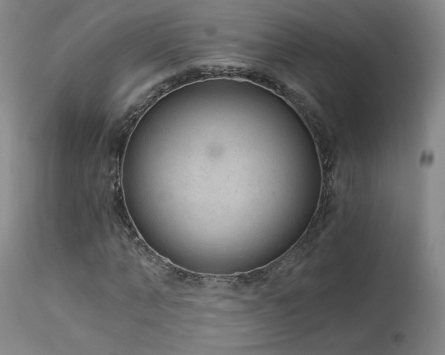 X0000113980870200910021134