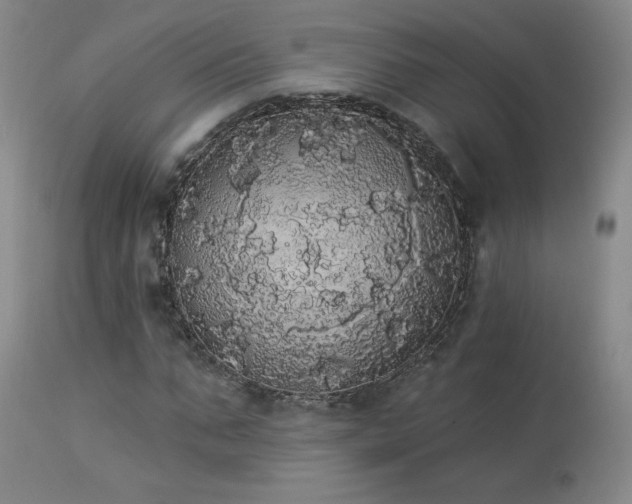 X0000113980871200910021134