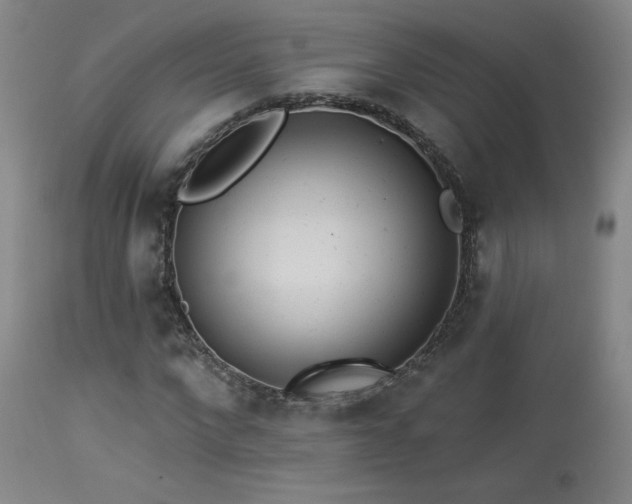 X0000113980872200910021134