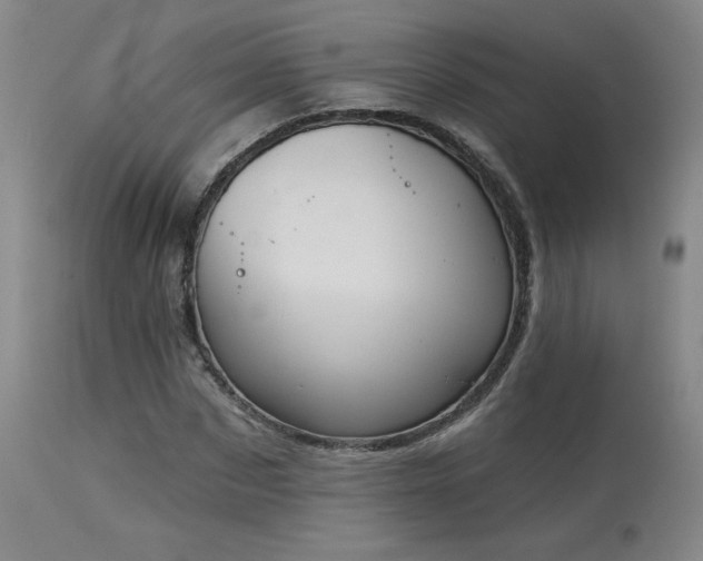 X0000113980873200910021134