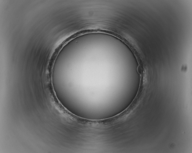 X0000113980876200910021134