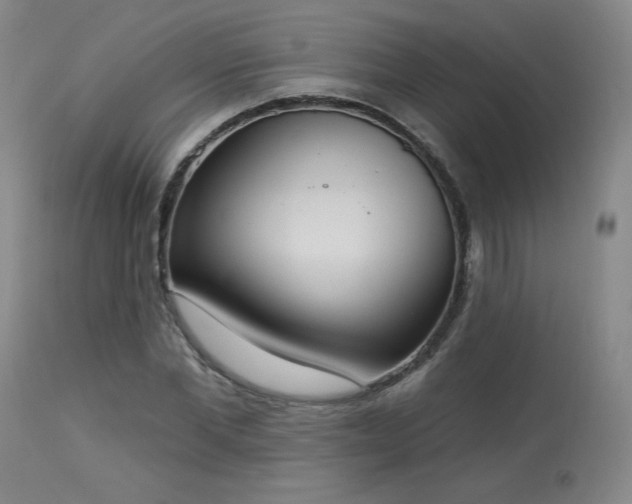 X0000113980877200910021134