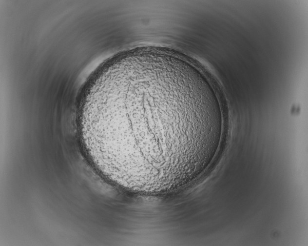 X0000113980878200910021134