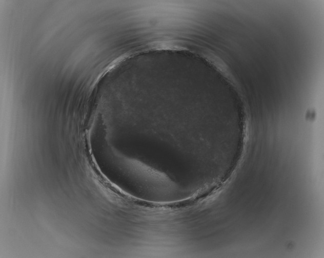 X0000113980881200910021134
