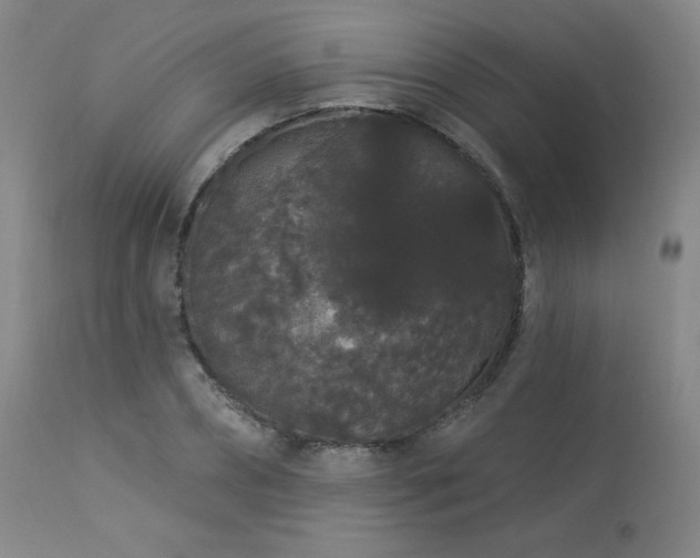 X0000113980882200910021134