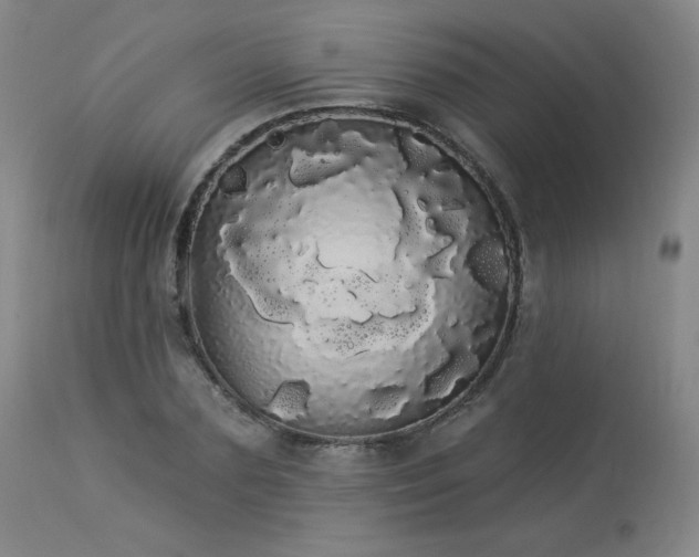 X0000113980883200910021134