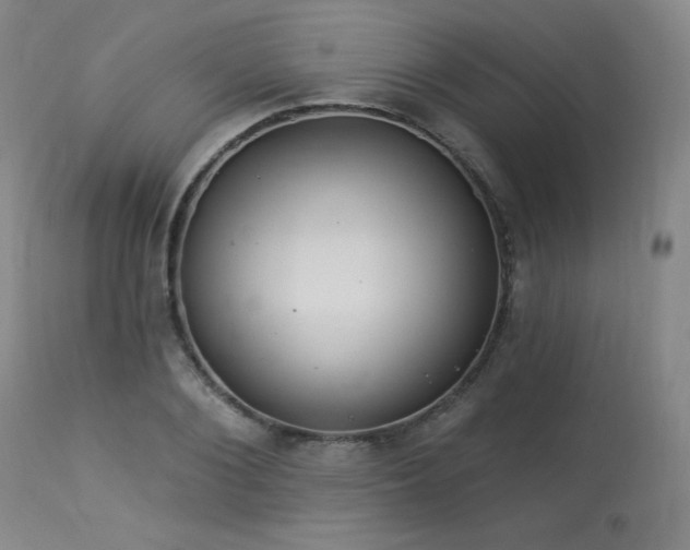 X0000113980884200910021134
