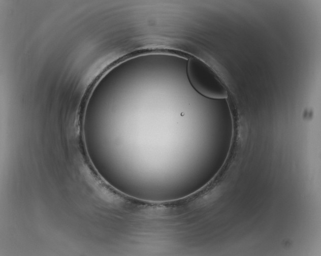 X0000113980885200910021134