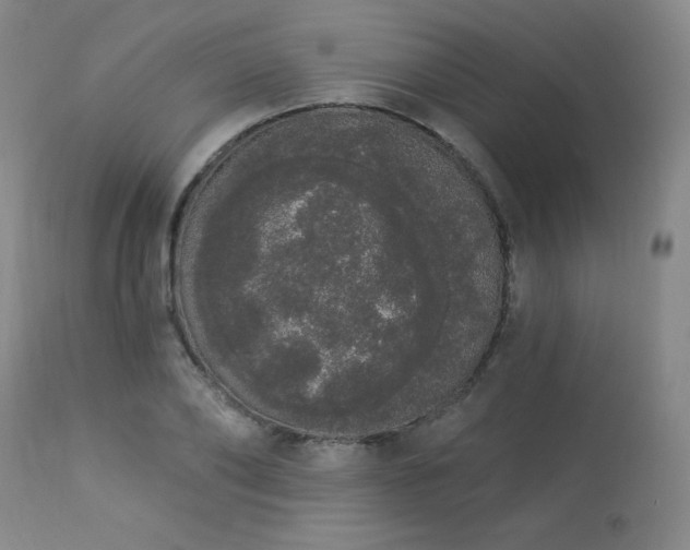 X0000113980886200910021134