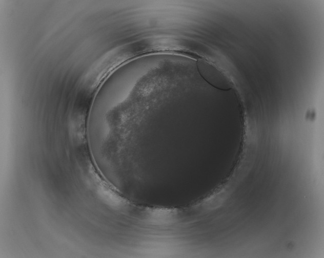X0000113980889200910021134