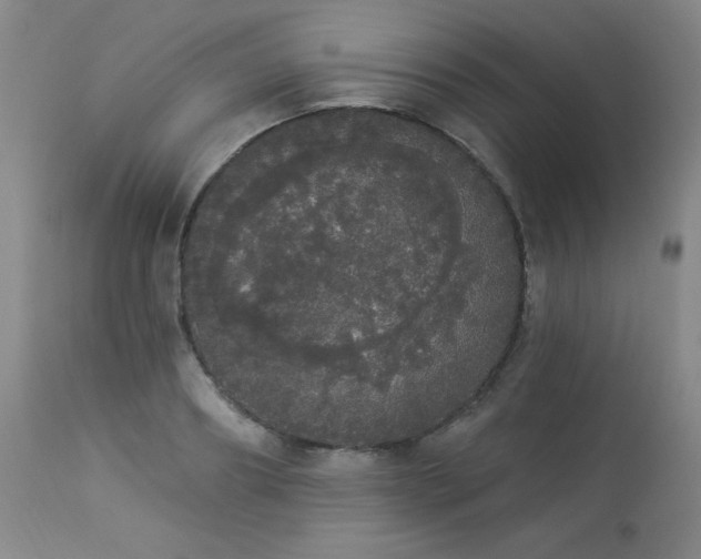 X0000113980890200910021134