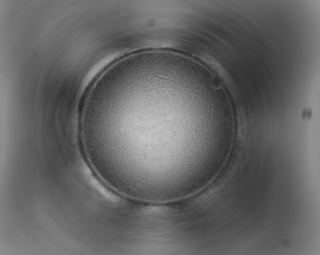 X0000113980894200910021134